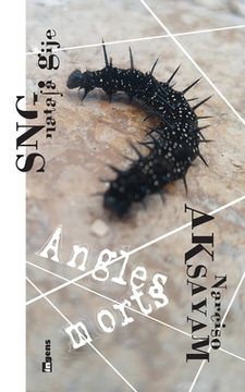 portada Angles morts (in French)