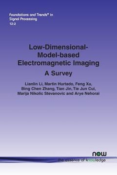 portada Low-Dimensional-Model-based Electromagnetic Imaging: A Survey (in English)