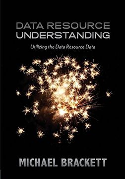 portada Data Resource Understanding: Utilizing the Data Resource Data: Volume 5 (Data Resource Simplexity)