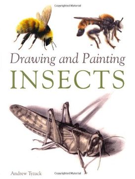 portada Drawing and Painting Insects (in English)
