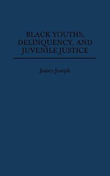 portada Black Youths, Delinquency, and Juvenile Justice (en Inglés)