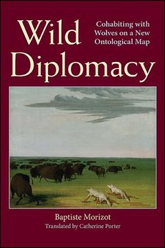 portada Wild Diplomacy 