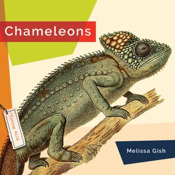 portada Chameleons (en Inglés)