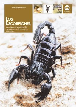 portada Los Escorpiones (in Spanish)