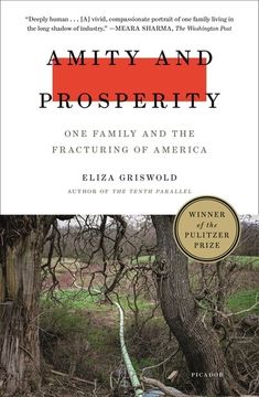 portada Amity and Prosperity: One Family and the Fracturing of America 