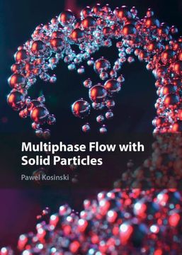 portada Multiphase Flow With Solid Particles (en Inglés)