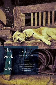 portada The Book of Why: A Novel (en Inglés)