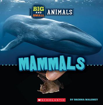 portada Mammals (Wild World: Big and Small Animals) (en Inglés)