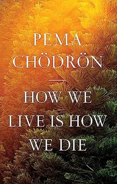portada How we Live is how we die (in English)