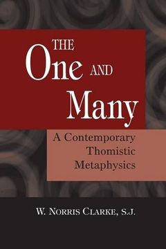 portada The one and the Many: A Contemporary Thomistic Metaphysics (in English)