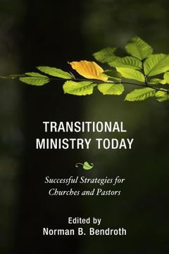 portada Transitional Ministry Today: Successful Strategies for Churches and Pastors (en Inglés)