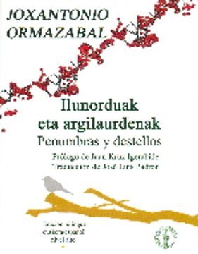 portada Ilunorduak Eta Argilaurdenak - Penumbras Y Destellos (Bilingüe Vasco - Español) (Biblioteca Vasca Bilingüe)