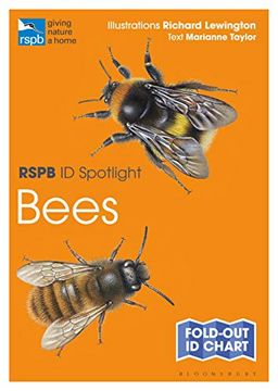 portada Rspb id Spotlight - Bees 