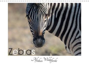 portada Zebras - Afrikas Wildpferde (Wandkalender 2023 din a3 Quer) (en Alemán)
