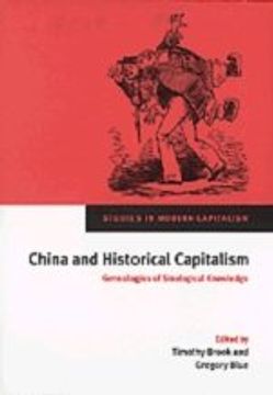 portada China and Historical Capitalism: Genealogies of Sinological Knowledge (Studies in Modern Capitalism) (in English)