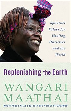 portada Replenishing the Earth: Spiritual Values for Healing Ourselves and the World (en Inglés)