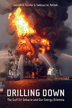 portada Drilling Down: The Gulf oil Debacle and our Energy Dilemma (en Inglés)