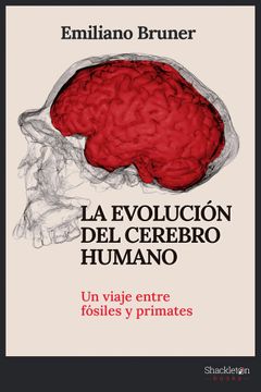 portada EVOLUCION DEL CEREBRO HUMANO,LA (in Spanish)