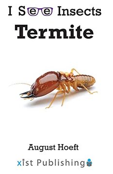 portada Termite (i see Insects) (in English)