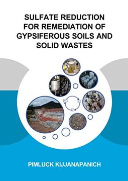 portada Sulfate Reduction for Remediation of Gypsiferous Soils and Solid Wastes (en Inglés)