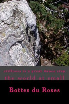 portada stillness is a great dance step: The world at Small