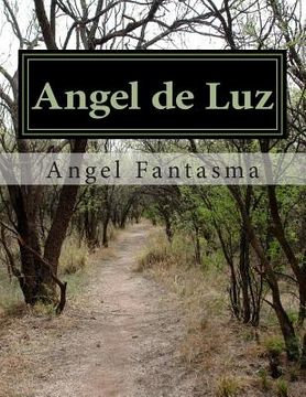 portada Angel de Luz: La historia de un angel en el mundo real