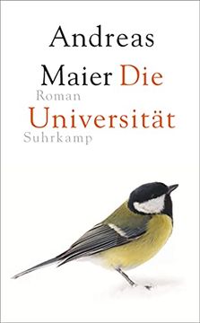 portada Die Universität: Roman (Suhrkamp Taschenbuch) (en Alemán)