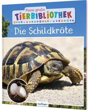 portada Meine Große Tierbibliothek: Die Schildkröte (en Alemán)