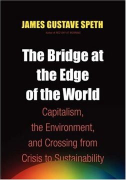 portada The Bridge at the Edge of the World (en Inglés)