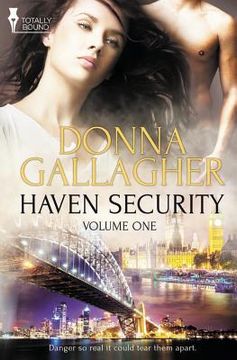 portada Haven Security: Vol 1 (in English)