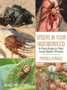 portada Spiders in Your Neighborhood: A Field Guide to Your Local Spider Friends, Revised and Expanded (in English)