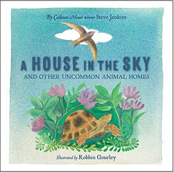 portada A House in the sky (in English)