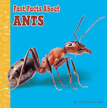 portada Fast Facts about Ants (en Inglés)
