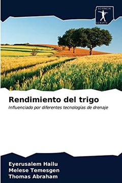portada Rendimiento del Trigo: Influenciado por Diferentes Tecnologías de Drenaje (in Spanish)
