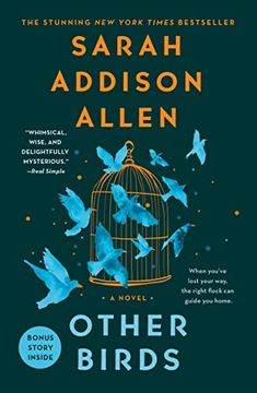 portada Other Birds: A Novel (en Inglés)
