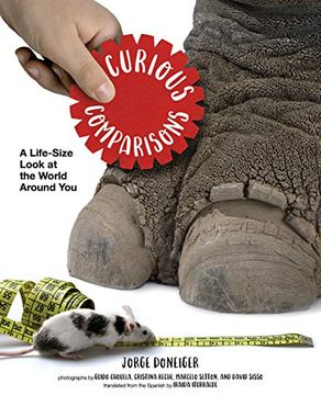 portada Curious Comparisons: A Life-Size Look at the World Around you