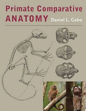portada Primate Comparative Anatomy