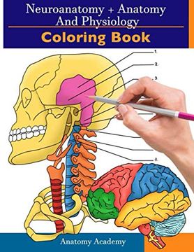 portada Neuroanatomy + Anatomy and Physiology Coloring Book: 2-In-1 Collection set | Incredibly Detailed Self-Test Color Workbook for Studying and Relaxation 