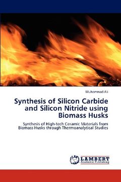 portada synthesis of silicon carbide and silicon nitride using biomass husks (en Inglés)