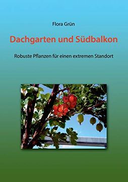portada Dachgarten und Südbalkon: Robuste Pflanzen für Einen Extremen Standort (en Alemán)