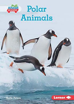 portada Polar Animals (en Inglés)