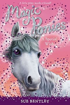 portada A Special Wish (Magic Ponies) (in English)