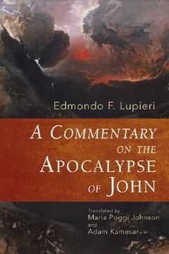 portada a commentary on the apocalypse of john (en Inglés)