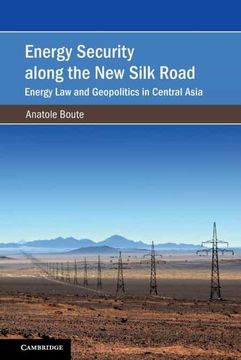 portada Energy Security Along the new Silk Road: Energy law and Geopolitics in Central Asia (Cambridge Studies on Environment, Energy and Natural Resources Governance) (en Inglés)