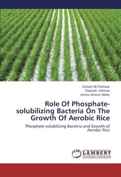 portada Role Of Phosphate-solubilizing Bacteria On The Growth Of Aerobic Rice