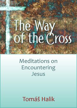 portada The Way of the Cross: Meditations on Encountering Jesus (in English)