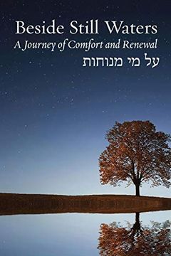 portada Beside Still Waters: A Journey of Comfort and Renewal (Bayit: Your Jewish Home) (en Inglés)