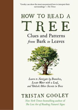 How to Read a Tree: Clues and Patterns from Bark to Leaves