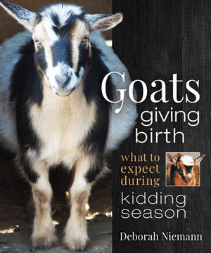 portada Goats Giving Birth: What to Expect During Kidding Season (en Inglés)
