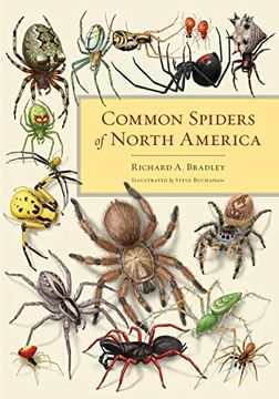 portada Common Spiders of North America 